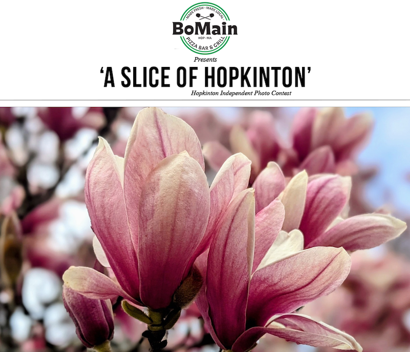 Photo contest winner