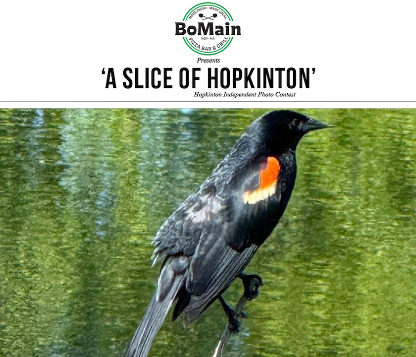 Photo contest winner