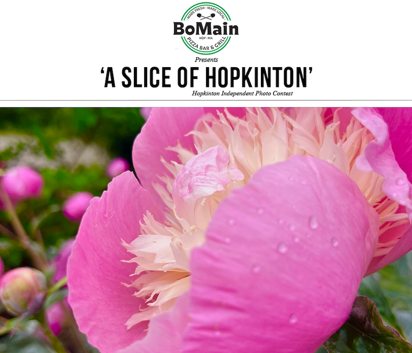 Photo contest winner