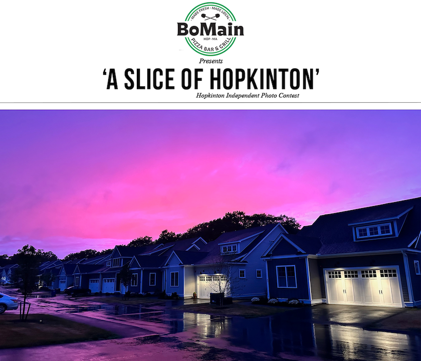 Photo contest winner