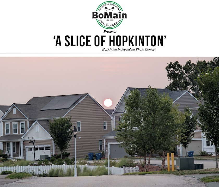 Photo contest winner