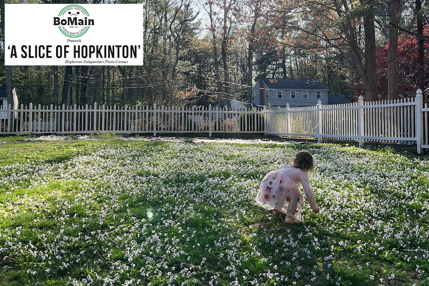 BoMain Slice of Hopkinton photo contest winner, May 21 edition