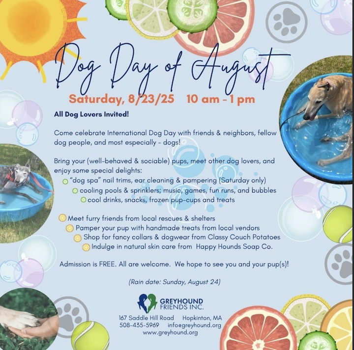 Greyhound Friends flyer