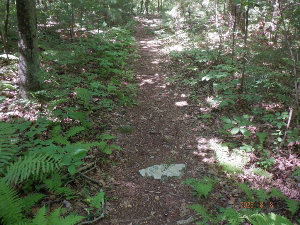 Chamberlain St.-Loop Road trail