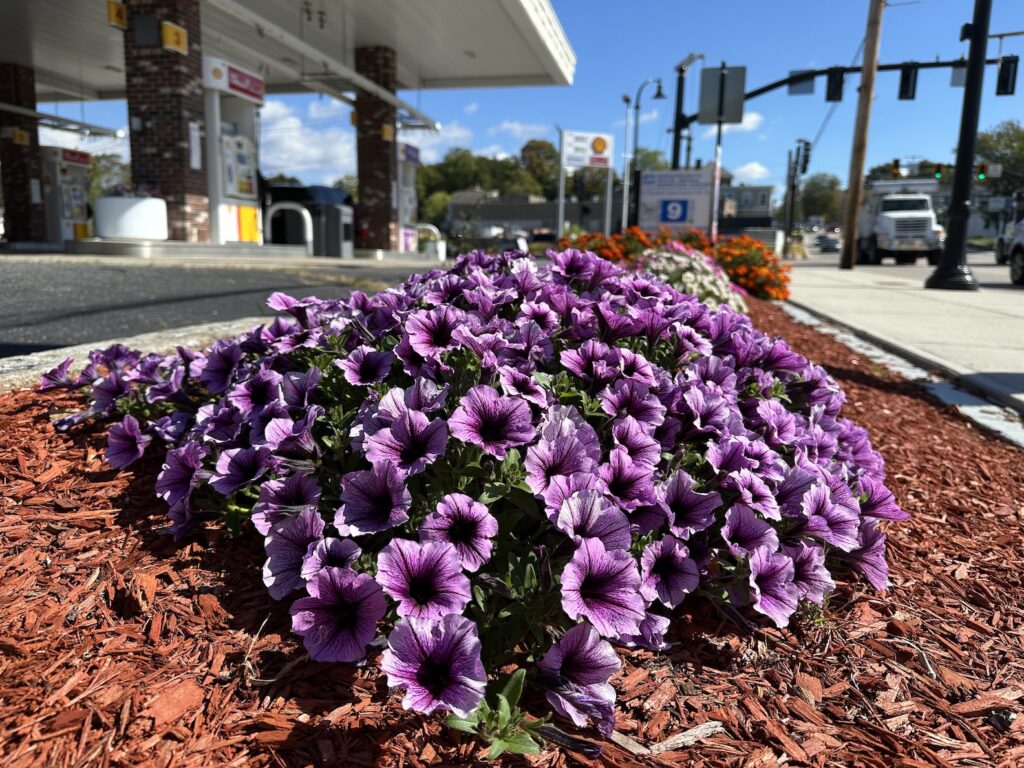 Flowers at Shell station