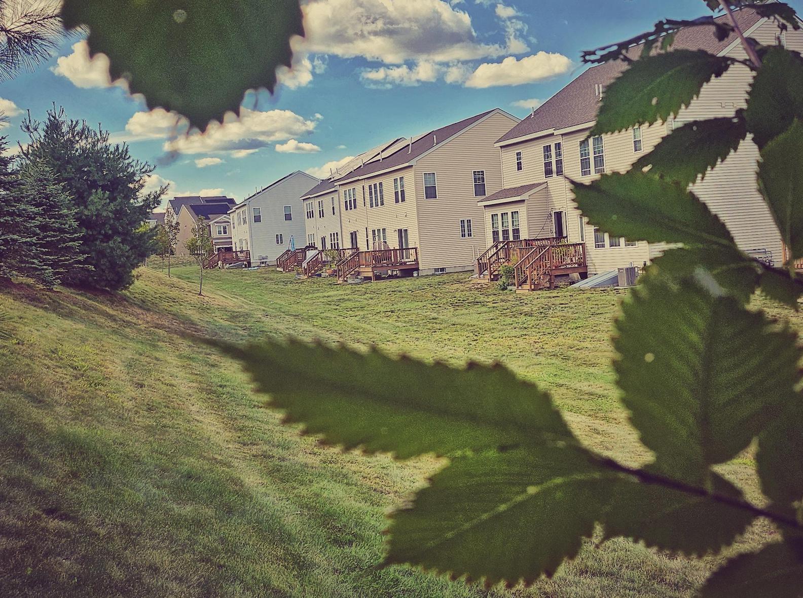 Photos: Late summer at Legacy Farms