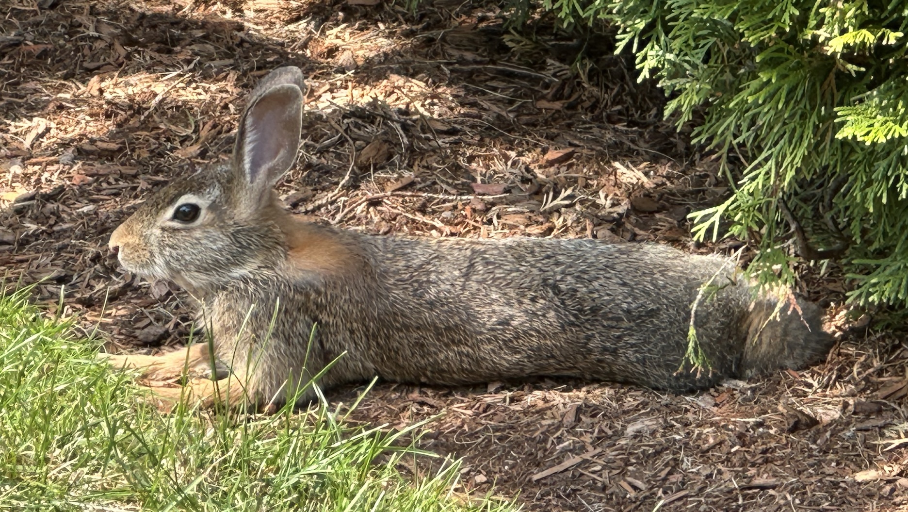 Hopkinton Today for Wednesday, Sept. 24: Activist pleads guilty to diversion of money
