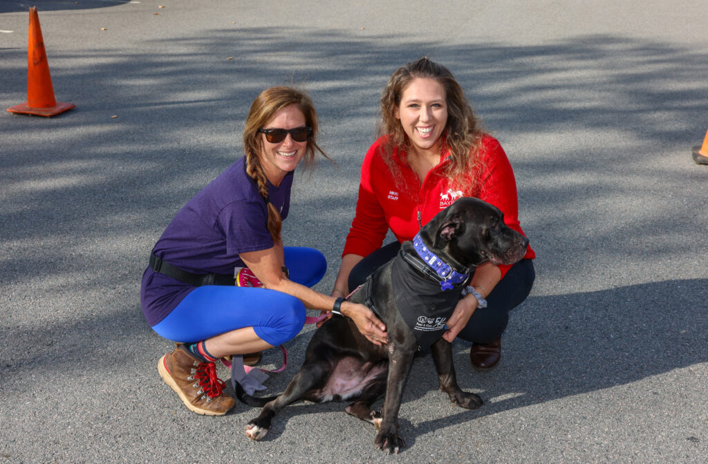 Baypath Paws & Claws 5K