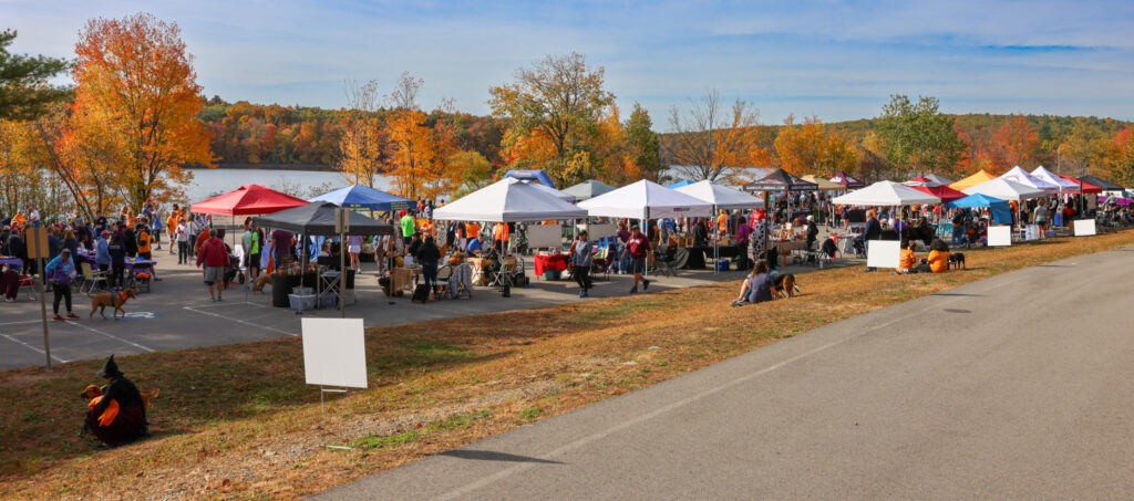 Baypath Paws & Claws 5K