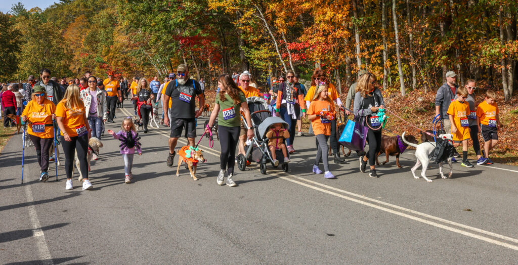Baypath Paws & Claws 5K