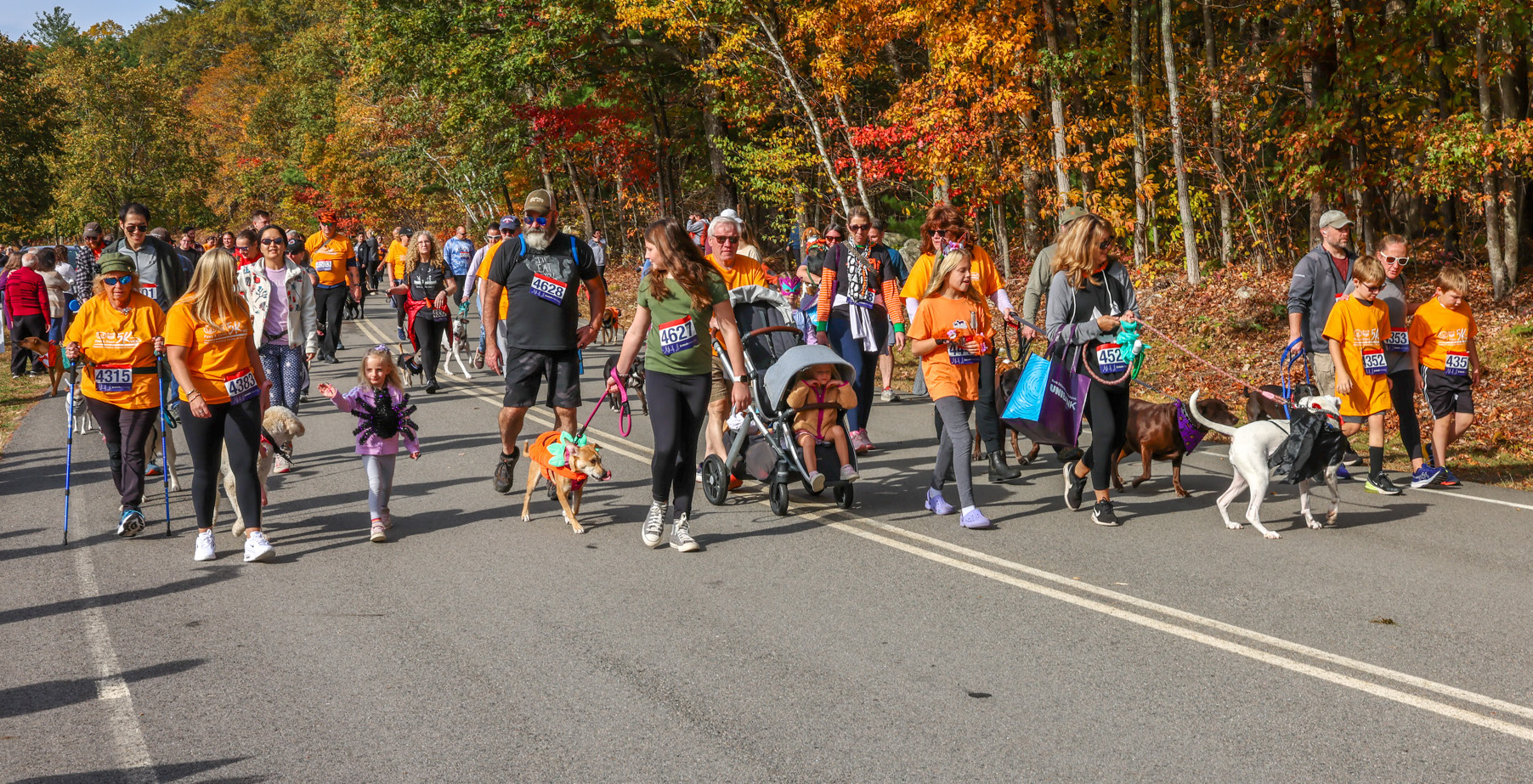Photos: Paws & Claws 5K at Hopkinton State Park