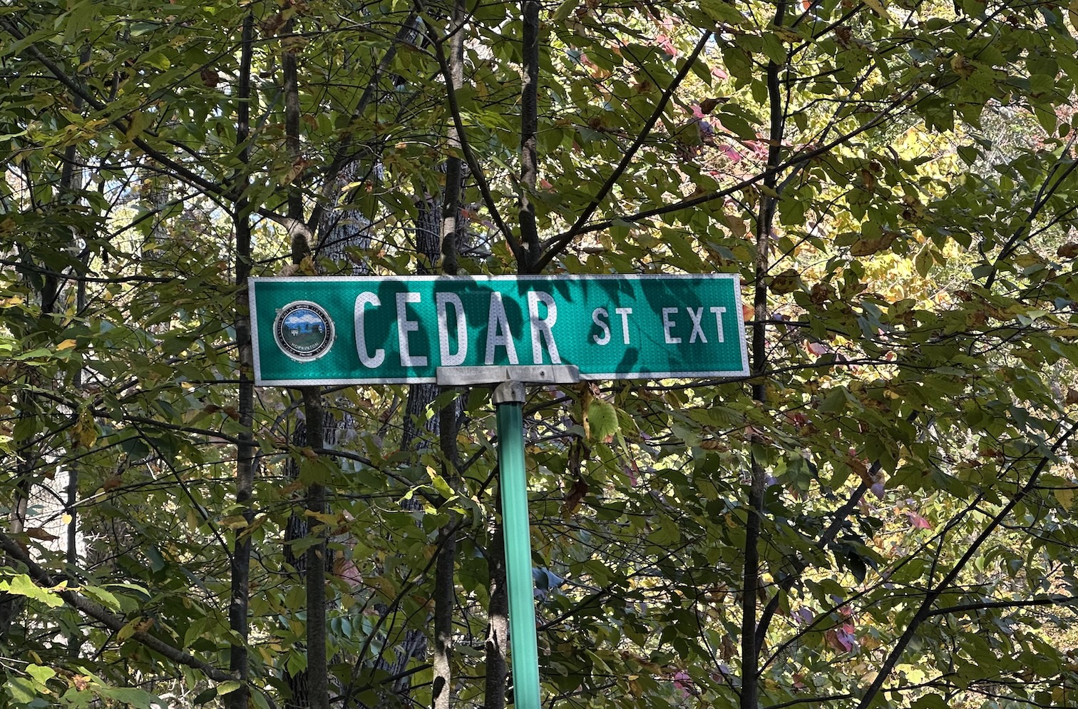 OSPC approves Cedar Street Extension homeowner’s tree removal request