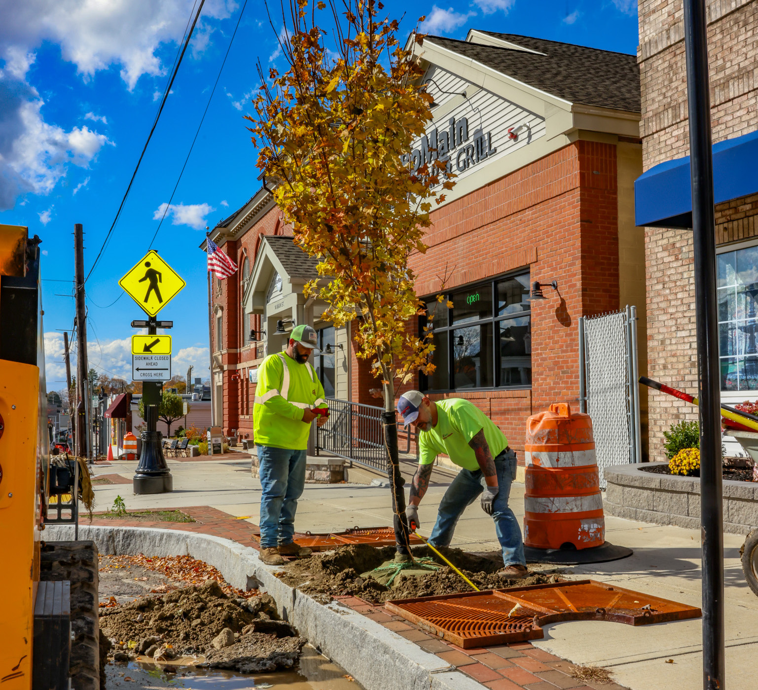 Photos: Tree planting on Main Street