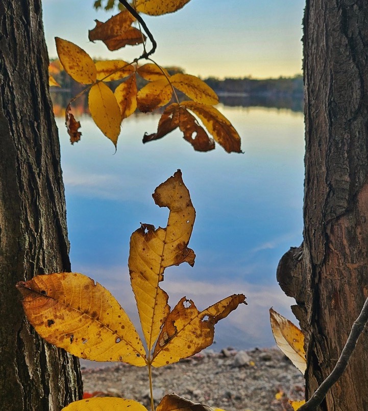 Fall Foliage State Park