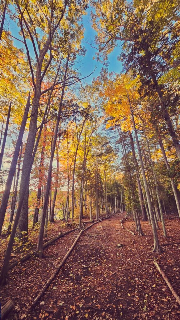 Fall Foliage State Park