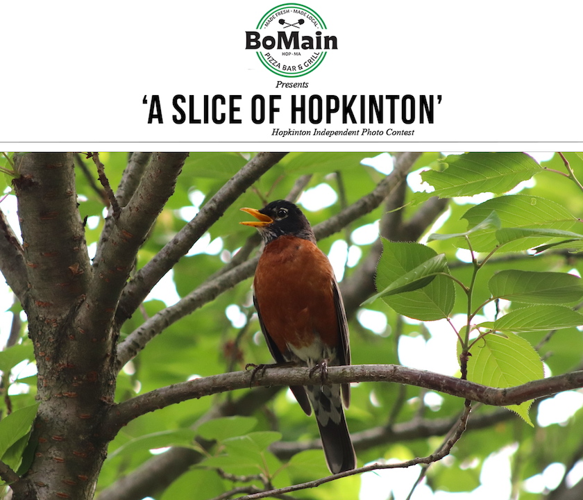 Photo contest winner