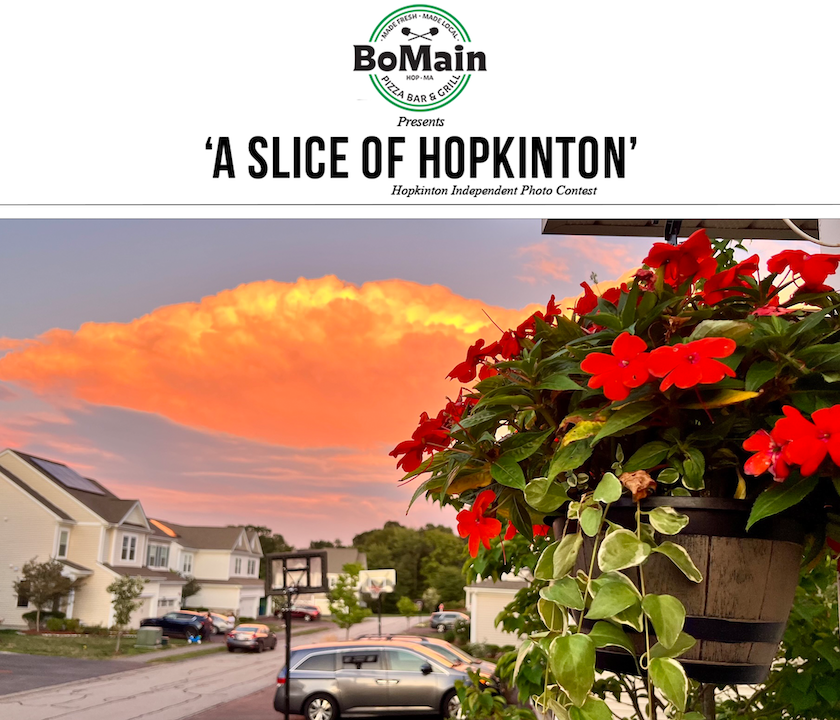 Photo contest winner