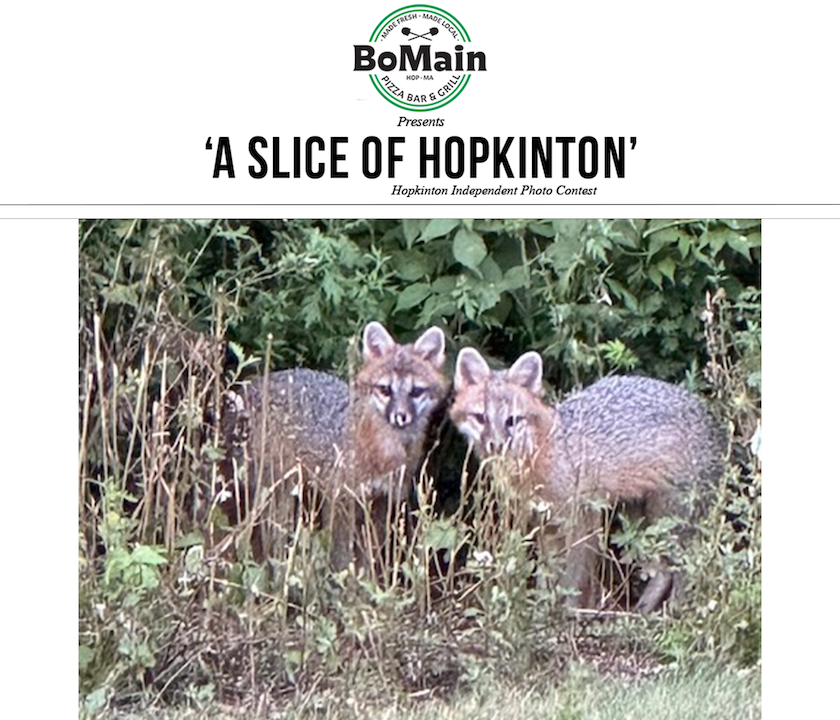 Photo contest winner