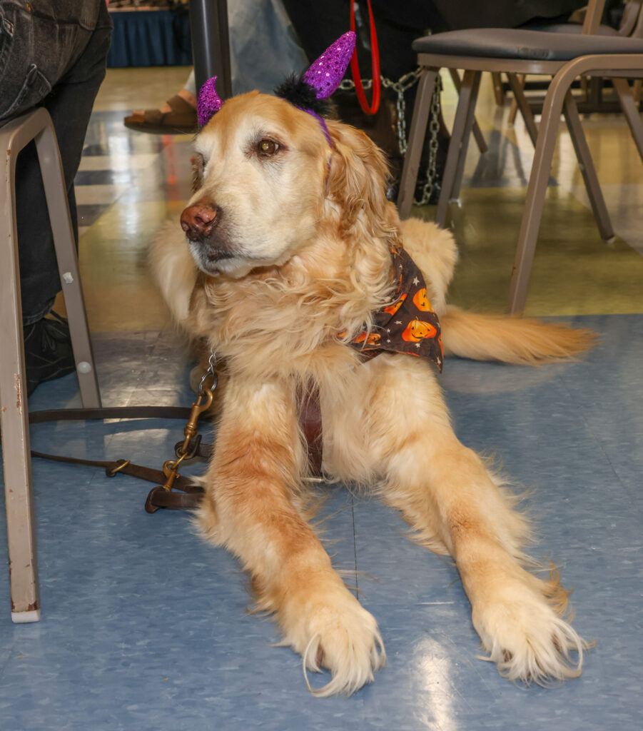 Senior Center Halloween