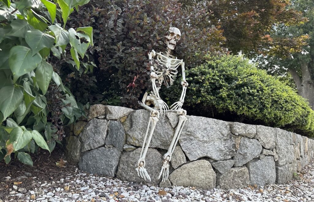 Skeleton on Cedar Street