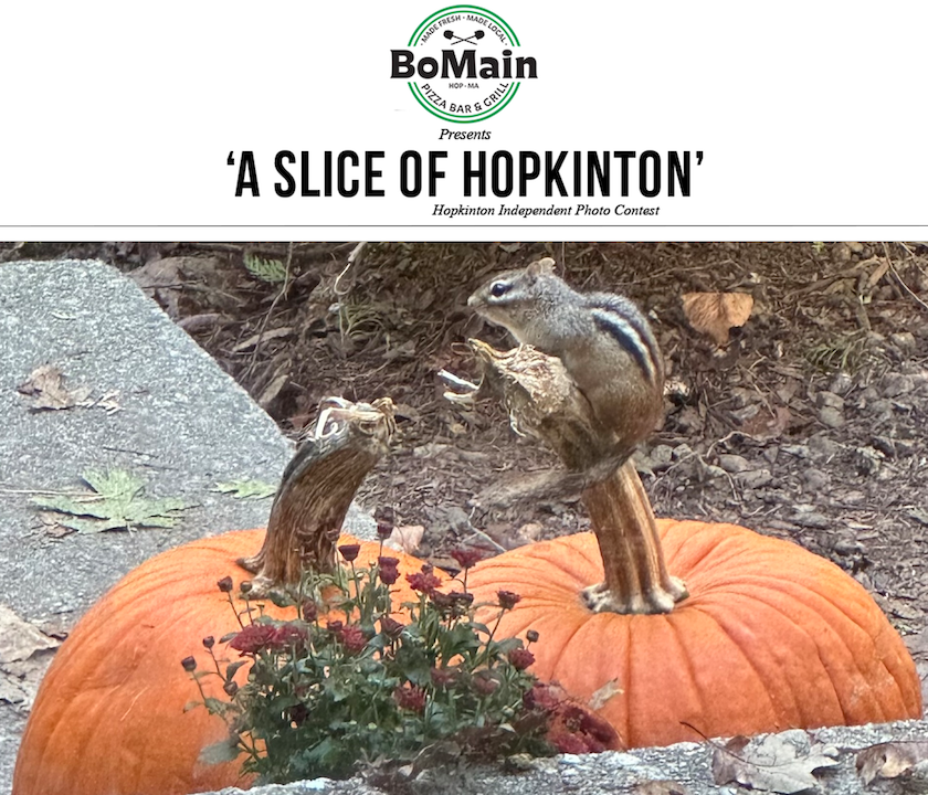 Photo contest winner