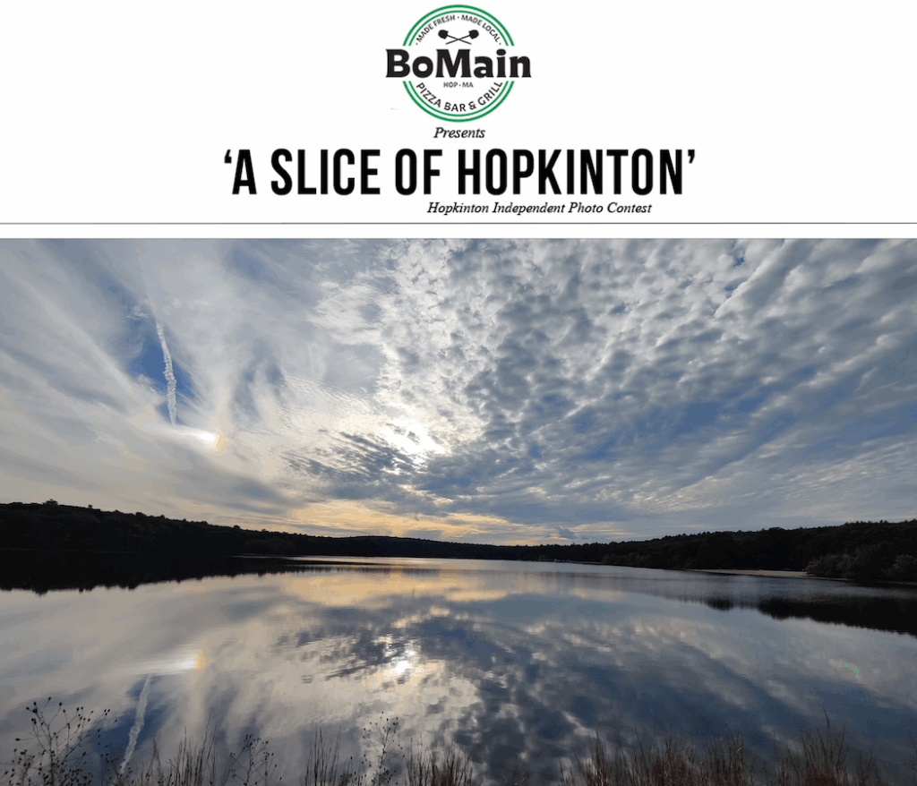 Photo contest winner