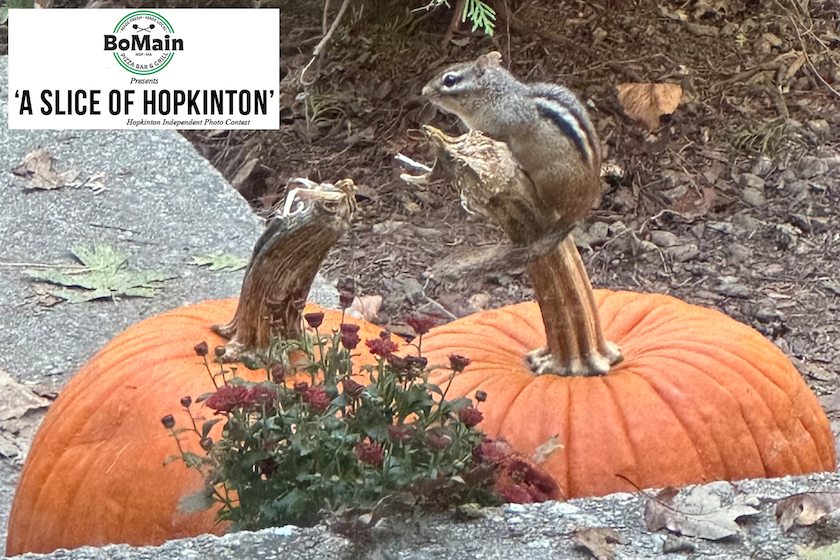 BoMain Slice of Hopkinton photo contest winner, Oct. 29 edition