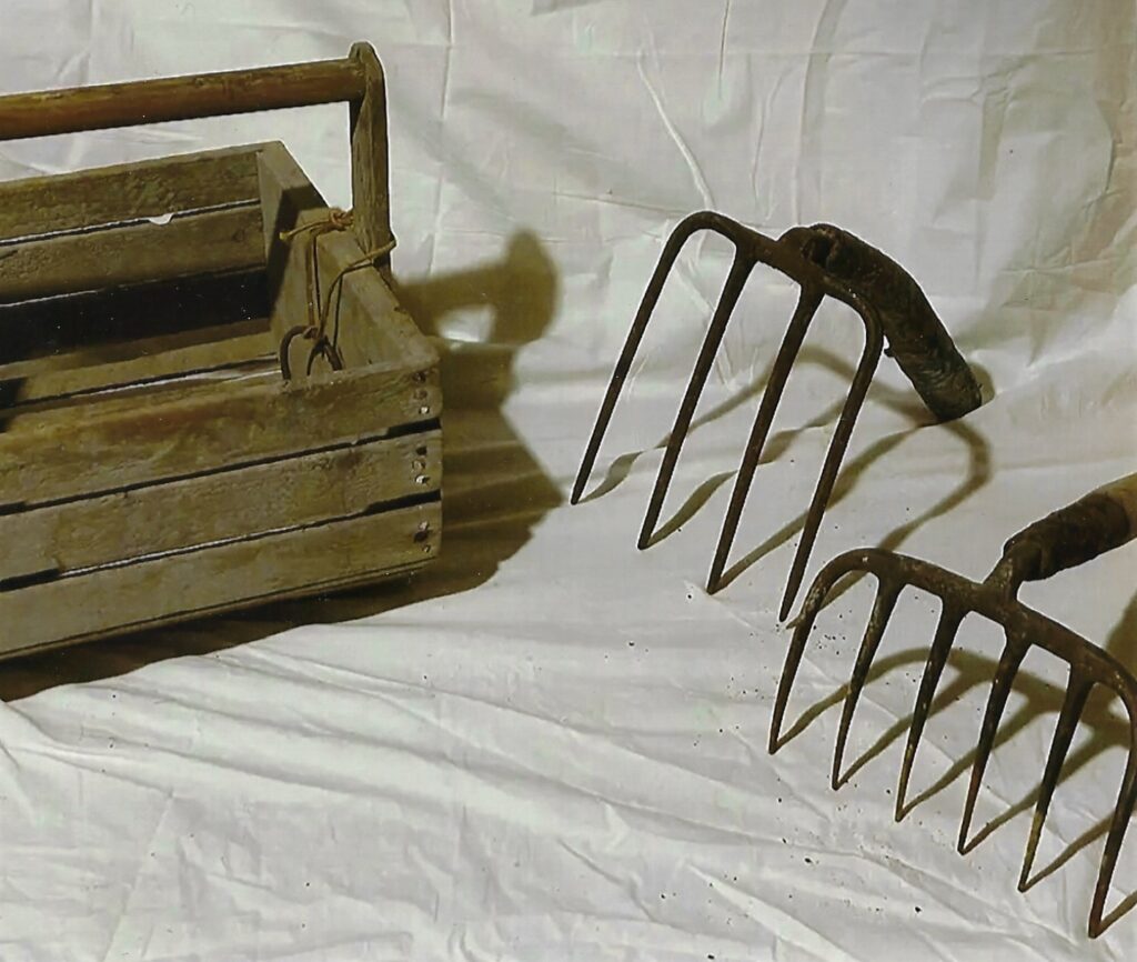 quarter-bushel clam hod and two clam hoes