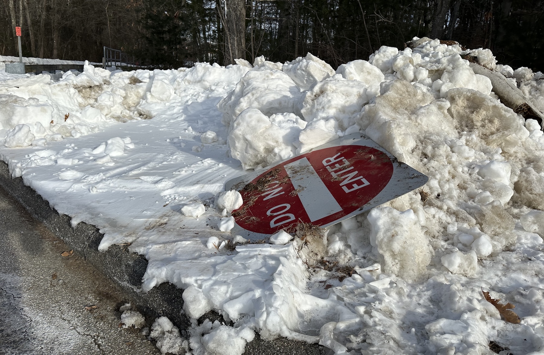 Hopkinton Today for Friday, Feb. 13: Baypath to waive adoption fees this weekend