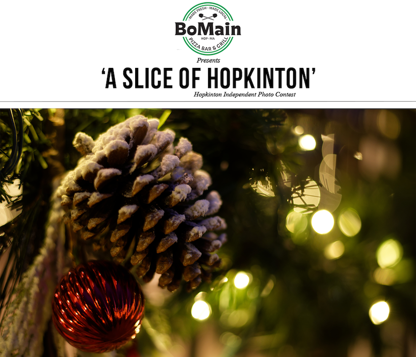 Photo contest winner