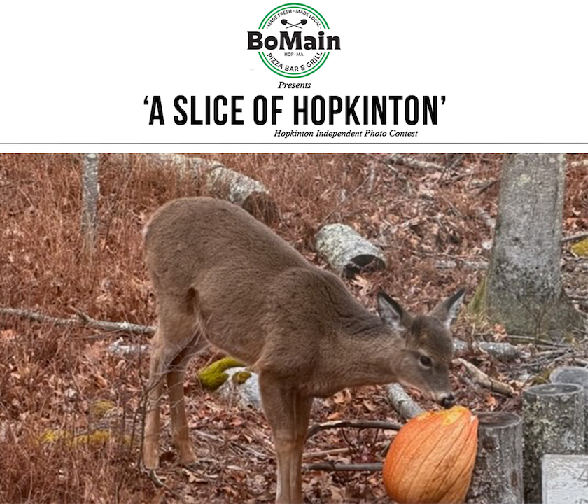 Photo contest winner