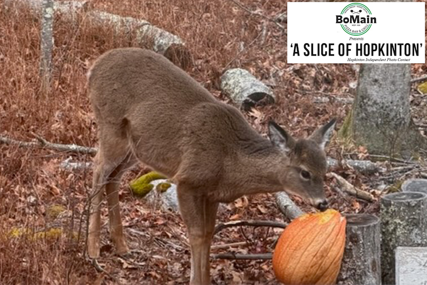 BoMain Slice of Hopkinton photo contest winner, Jan. 28 edition