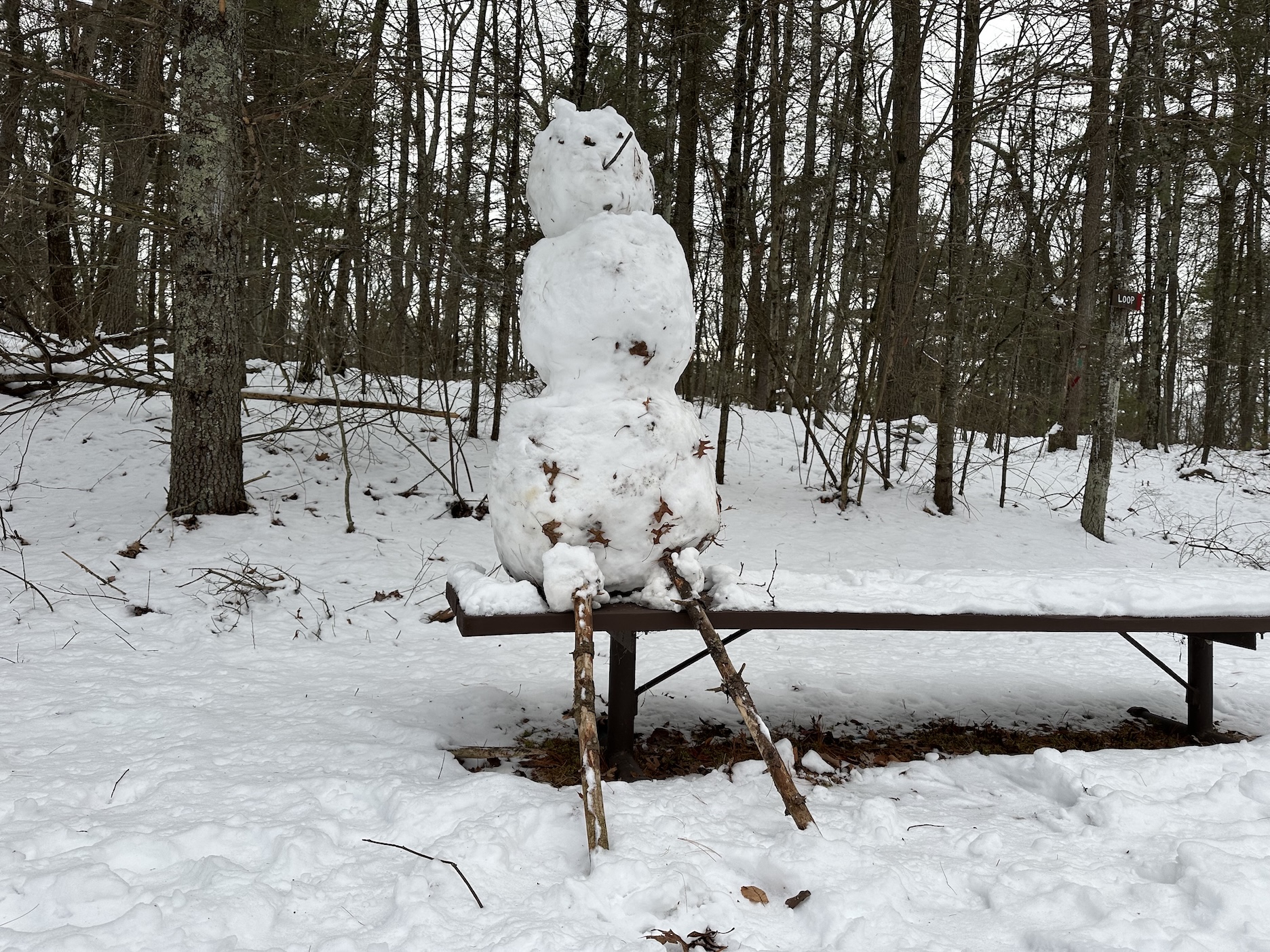 Hopkinton Today for Tuesday, Feb. 3: Town sees early savings from Hopkinton Power Choice program