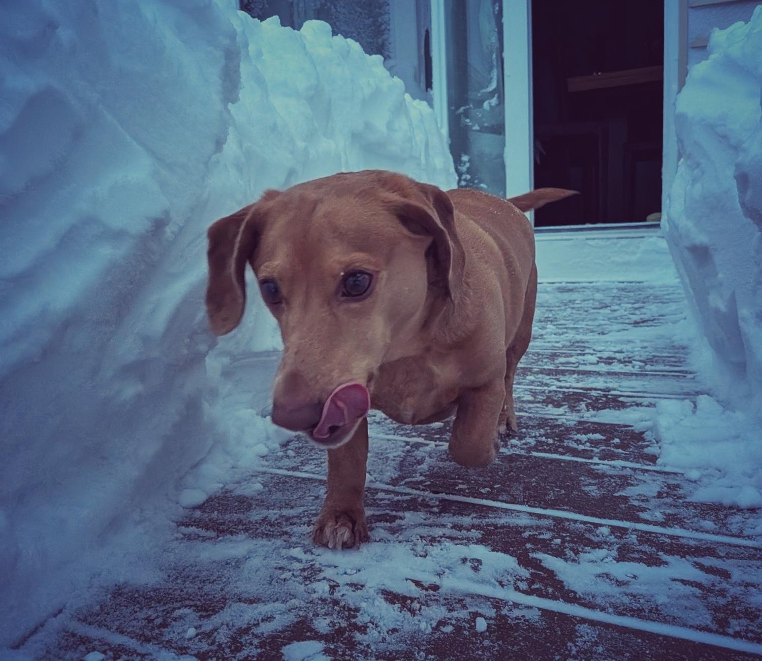 Hopkinton Today for Thursday, March 5: Friends of Hopkinton plan inaugural Fire & Light event