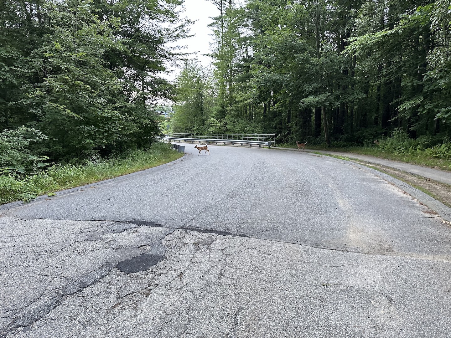 Select Board questions process used for Loop Road paving