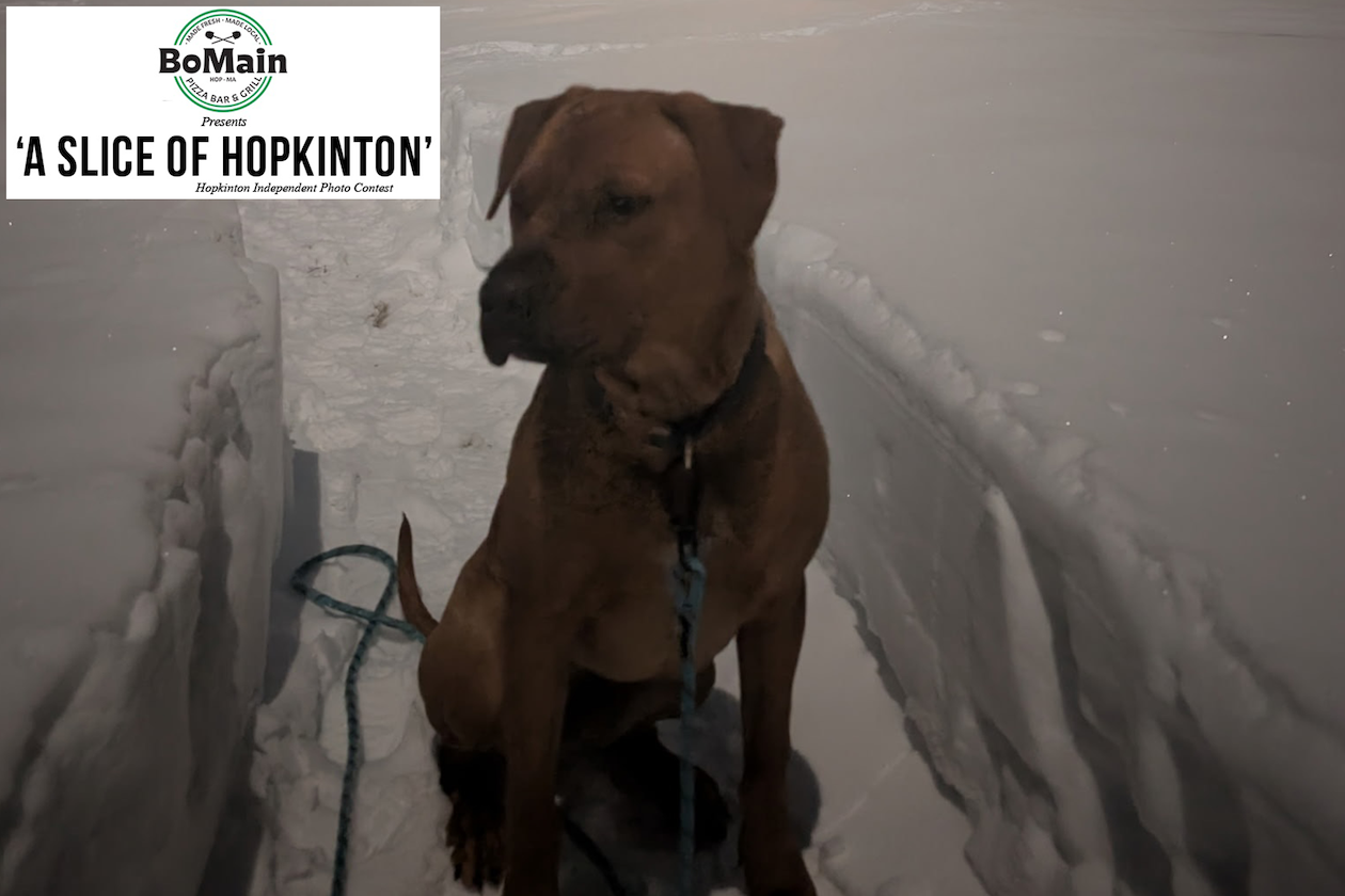 BoMain Slice of Hopkinton photo contest winner, Feb. 25 edition