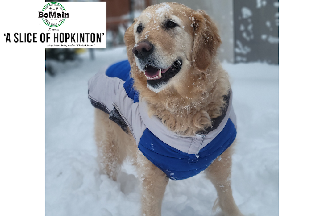 BoMain Slice of Hopkinton photo contest winner, March 11 edition