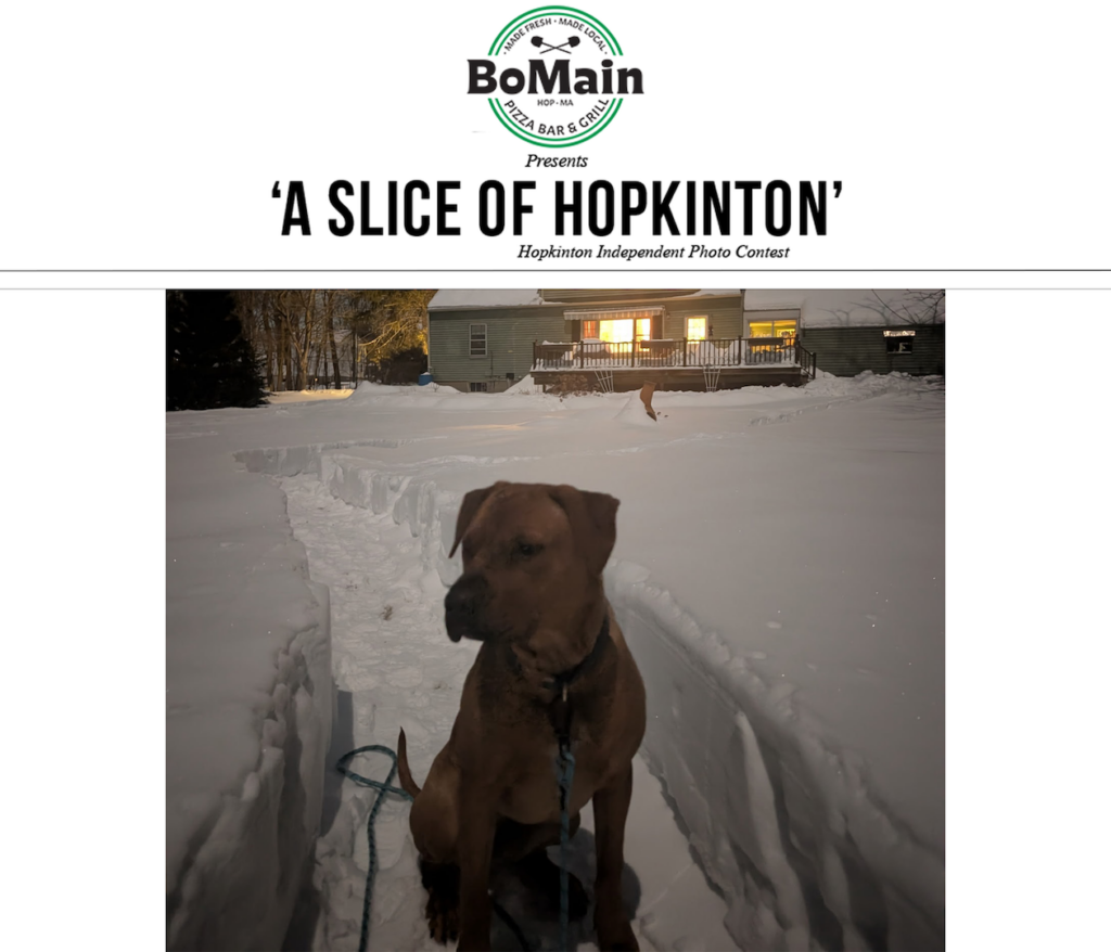 Photo contest winner 2-25-26