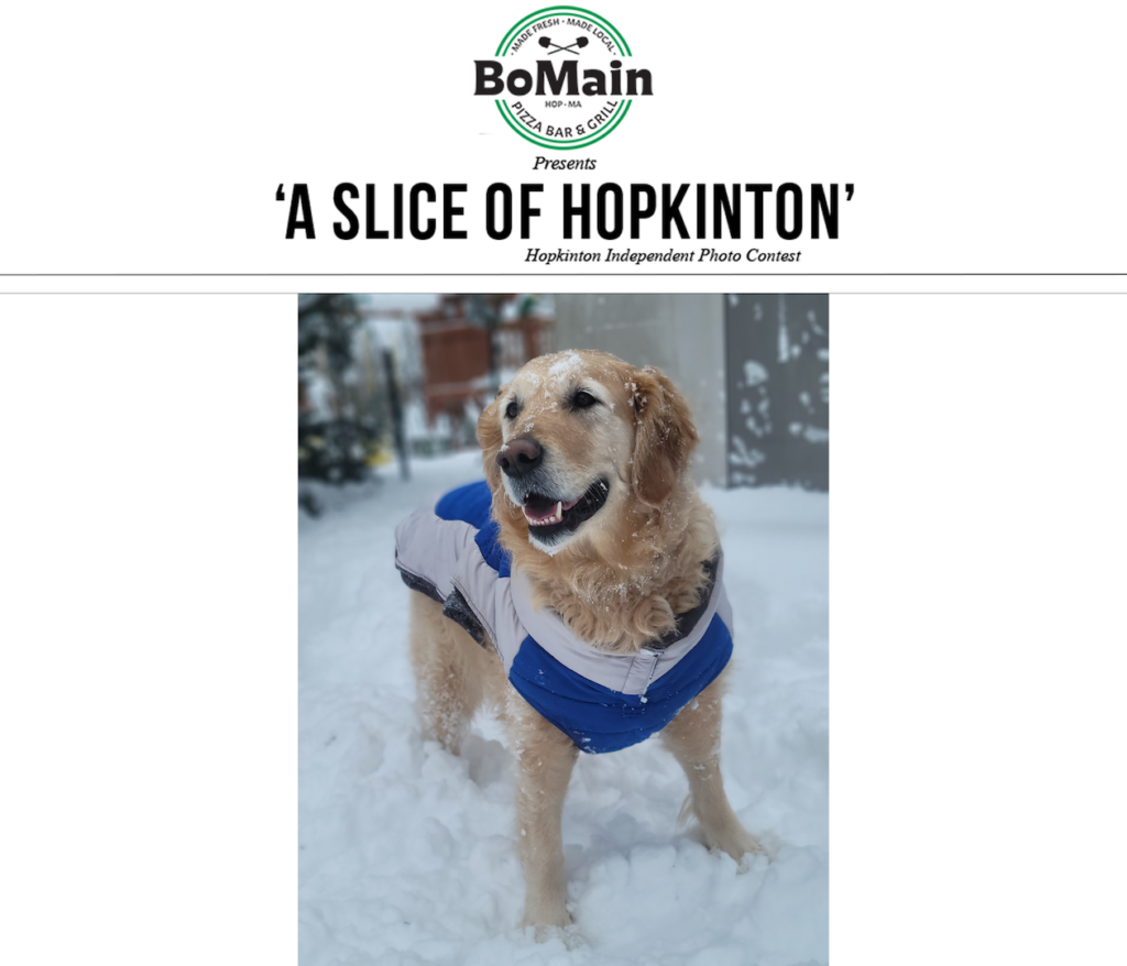 Photo contest winner 3-11-26