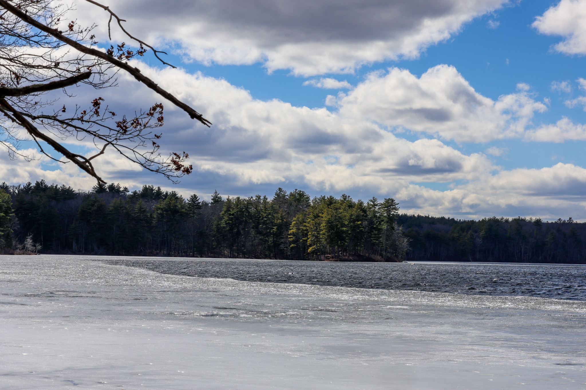 Hopkinton Today for Thursday, March 19: Residents gear up for next No Kings protest