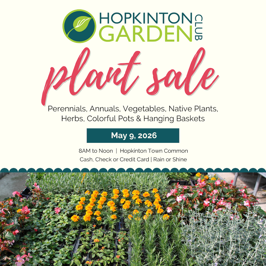 Plant Sale