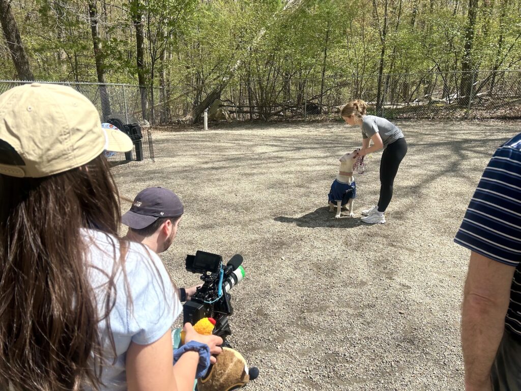 BTS Owala Pawtriots