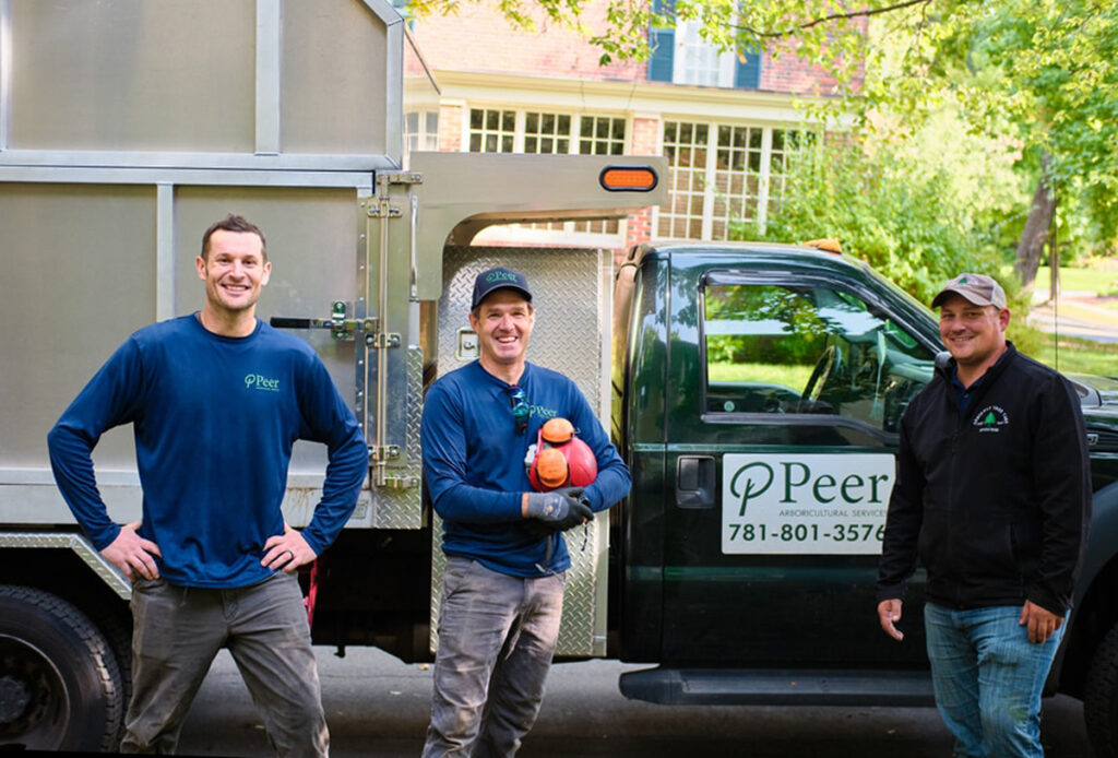 Peer Arboricultural Services