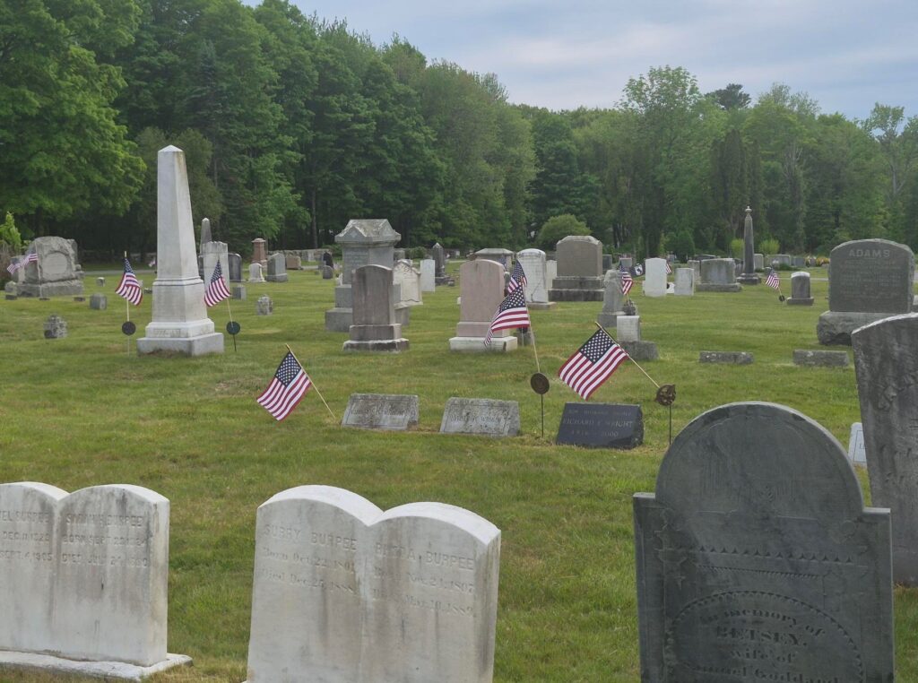 Flags at cemetery