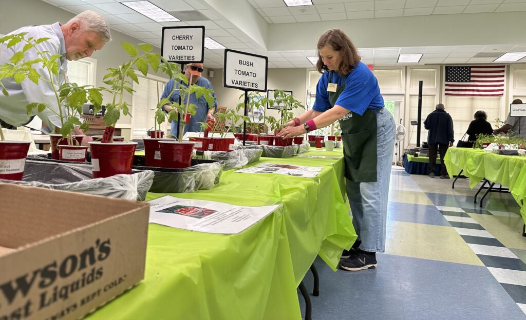 Senior plant sale