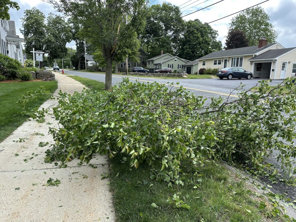 Branch Pleasant Street