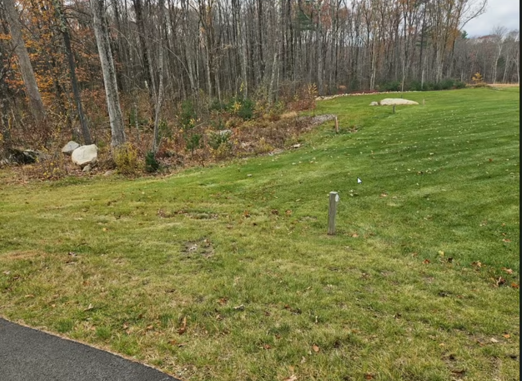 53 Chamberlain Street mowing