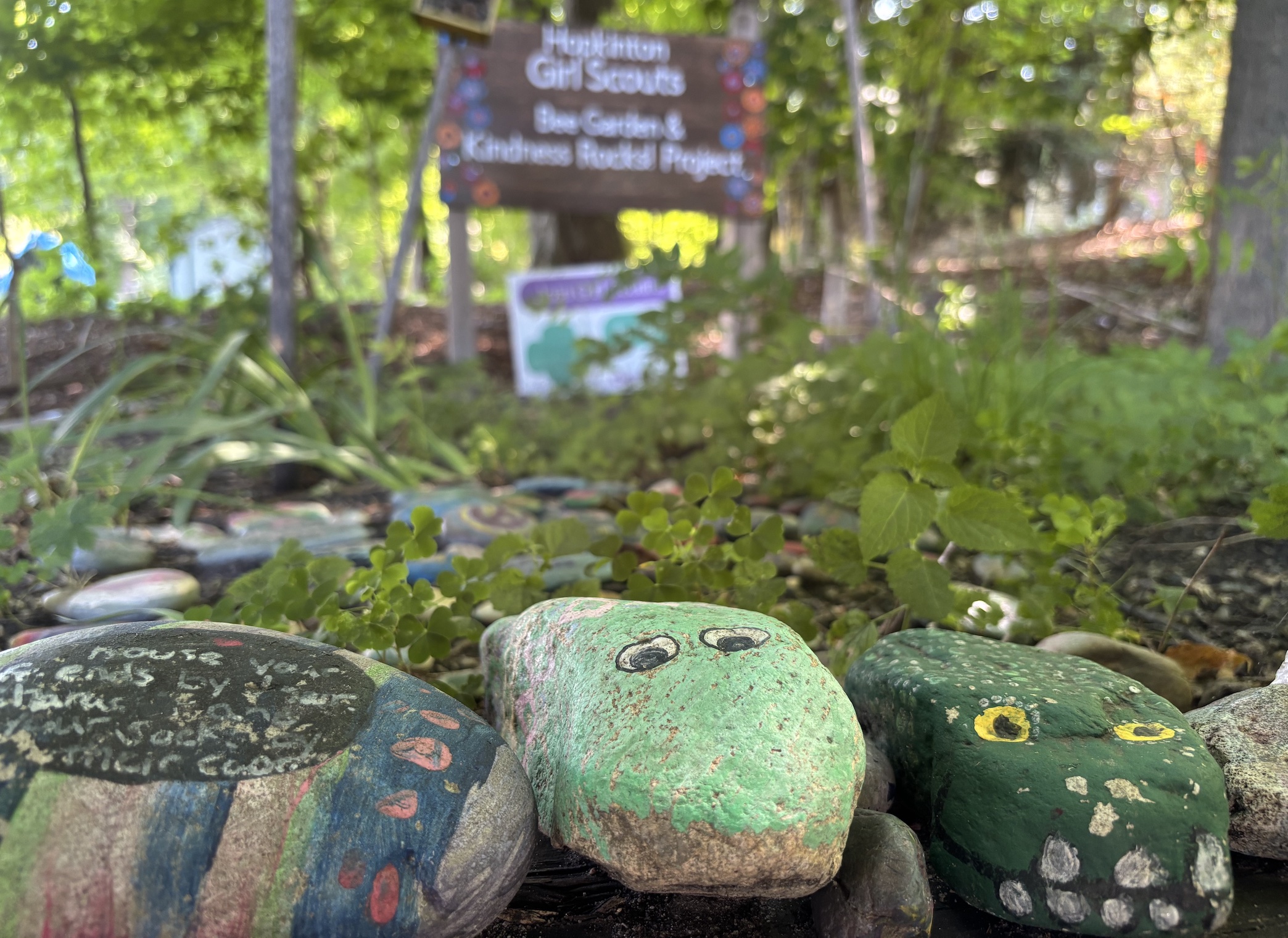 Hopkinton Today for Monday, Aug. 17: DPW initiates rain barrel program