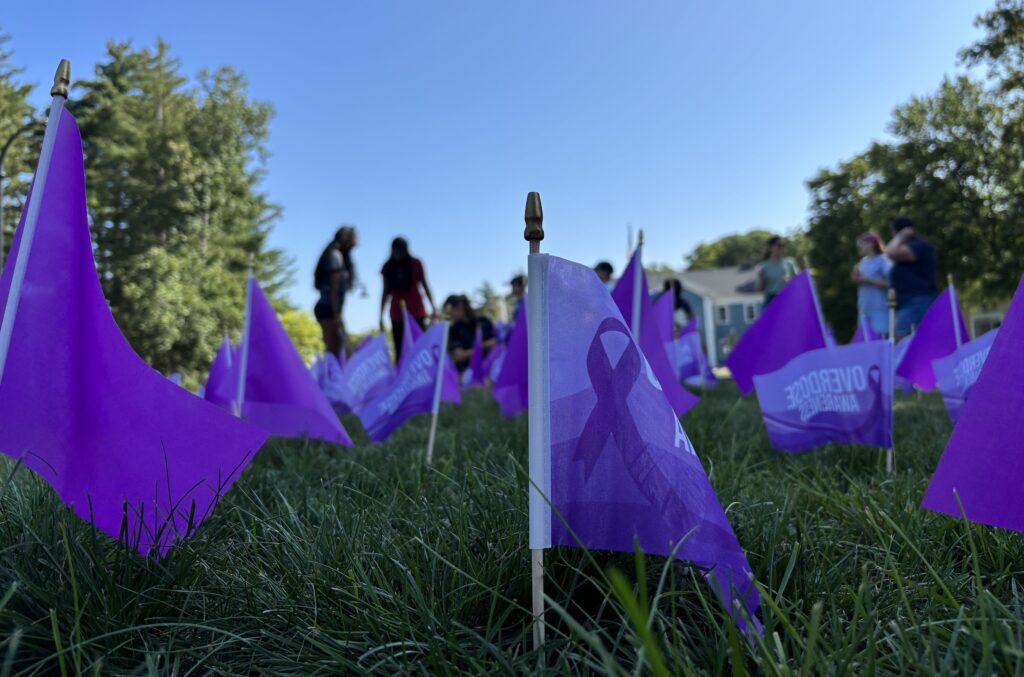 Garden of Hope HOP Flags