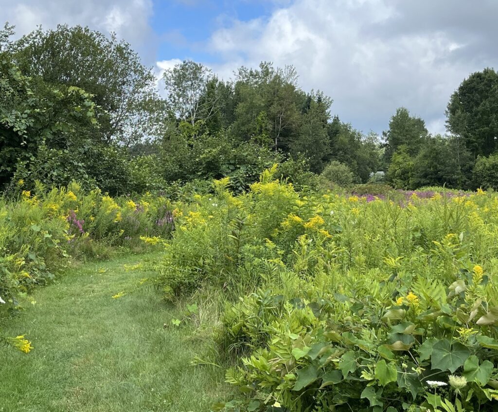 Meadow Pratt Farm